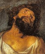 Dyck, Anthony van Head of a Robber oil painting
